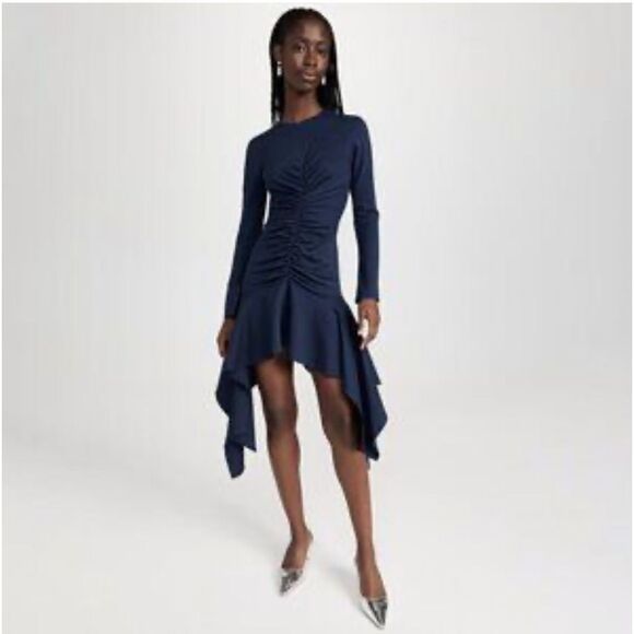 NWT Aknvas Daani Long Sleeve Jersey Dress in Lapis at Nordstrom size 0 - Picture 3 of 8